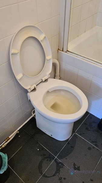  verstopping toilet Emmen